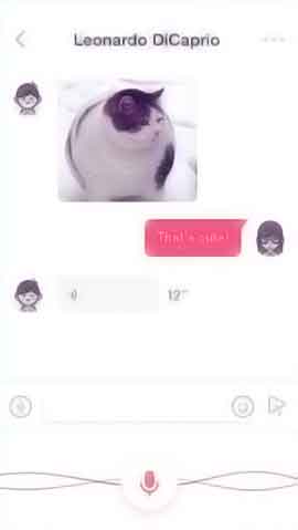 安卓ddos攻击工具软件程序维护界面